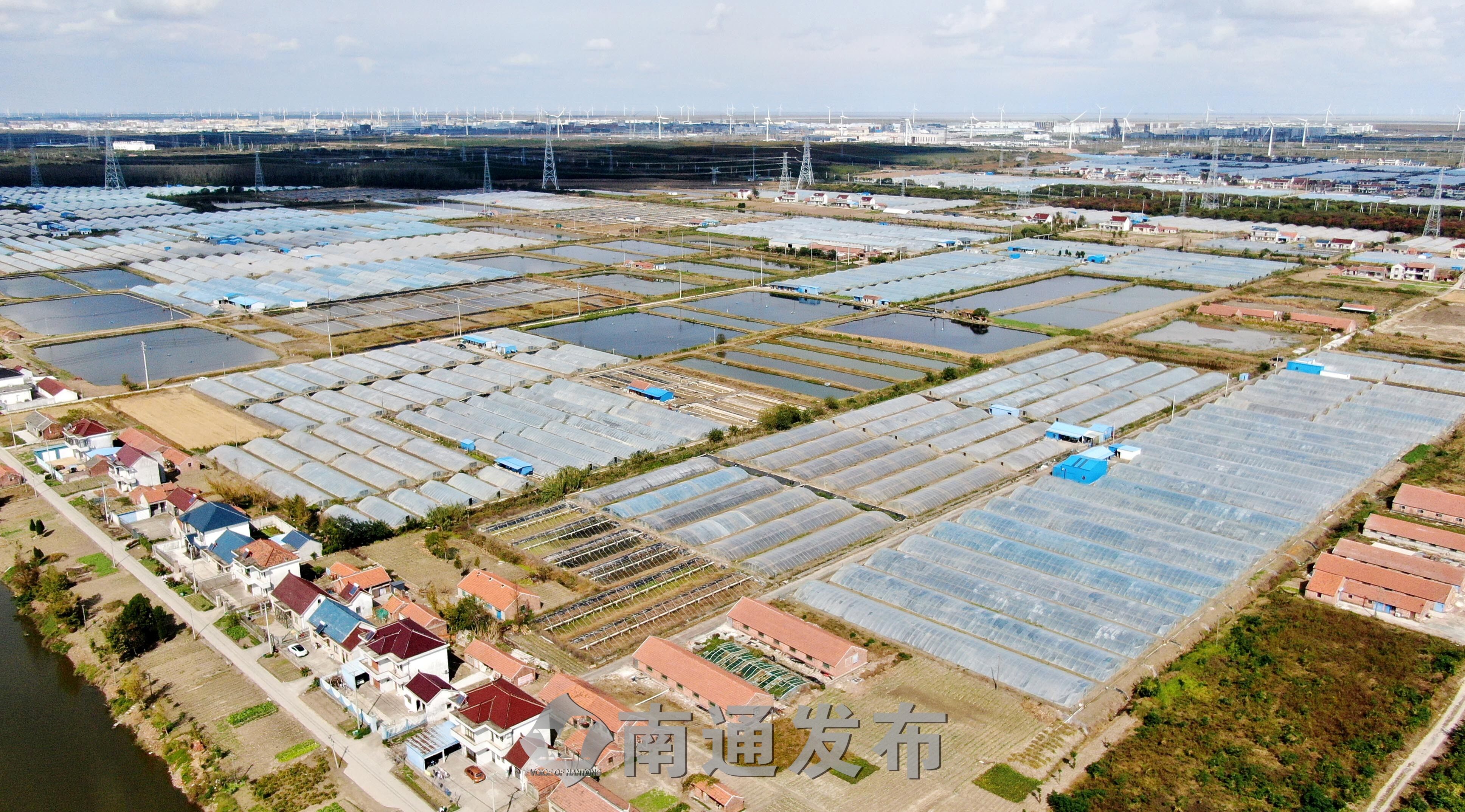 航拍如东县丰利镇光荣村河道虾棚构建小棚虾养殖尾水三池两坝模式南通