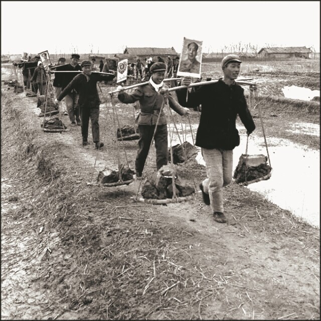 五六十年代劳动的照片图片