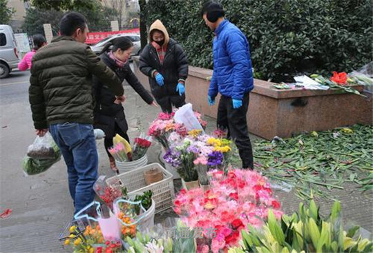 买花添喜年味浓南通发布