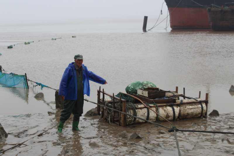 长江边捕捞鳗鱼苗,启东7名村民当场被抓获|南通发布