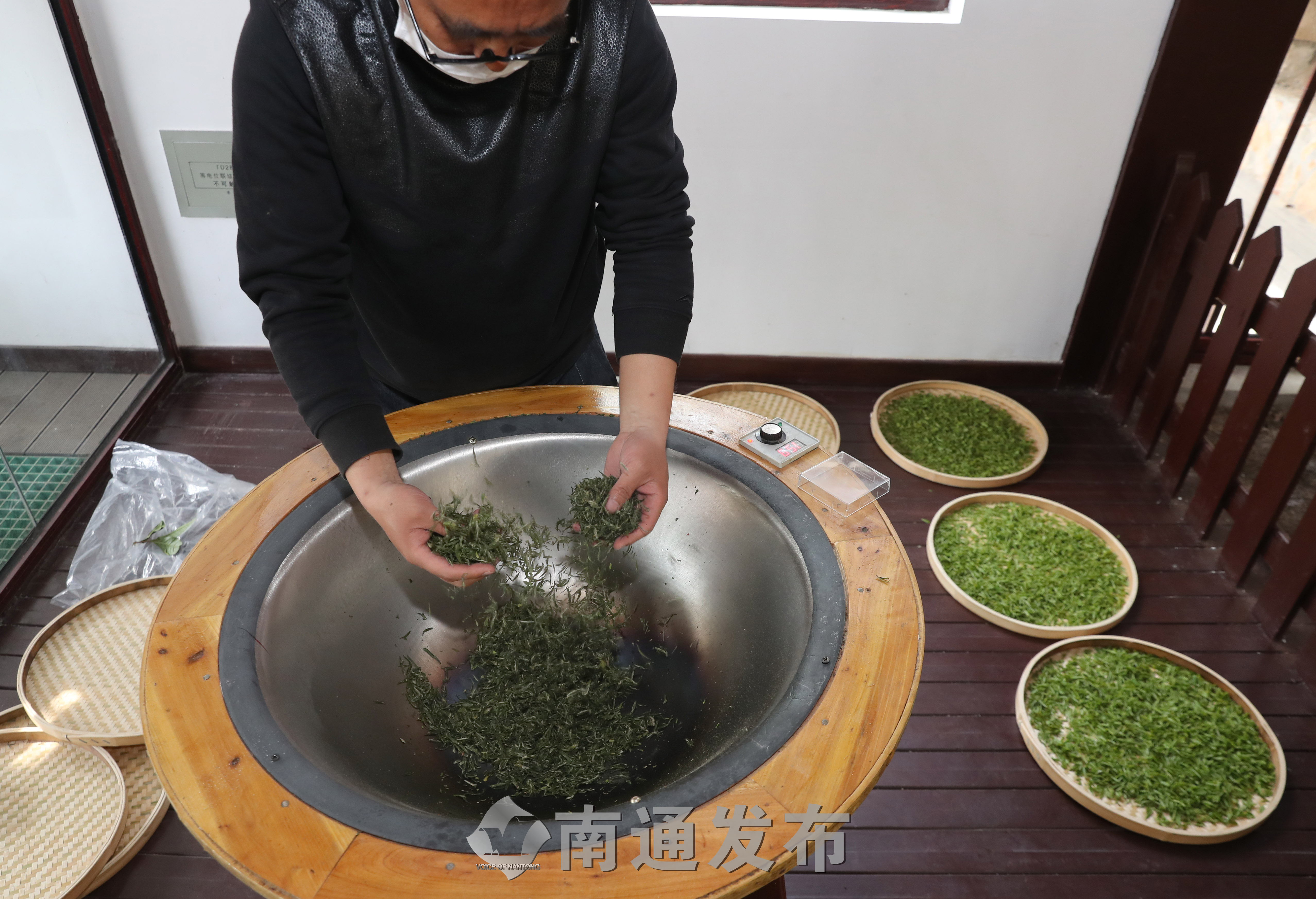 南通唯一地产茶军山明前茶开采|南通发布