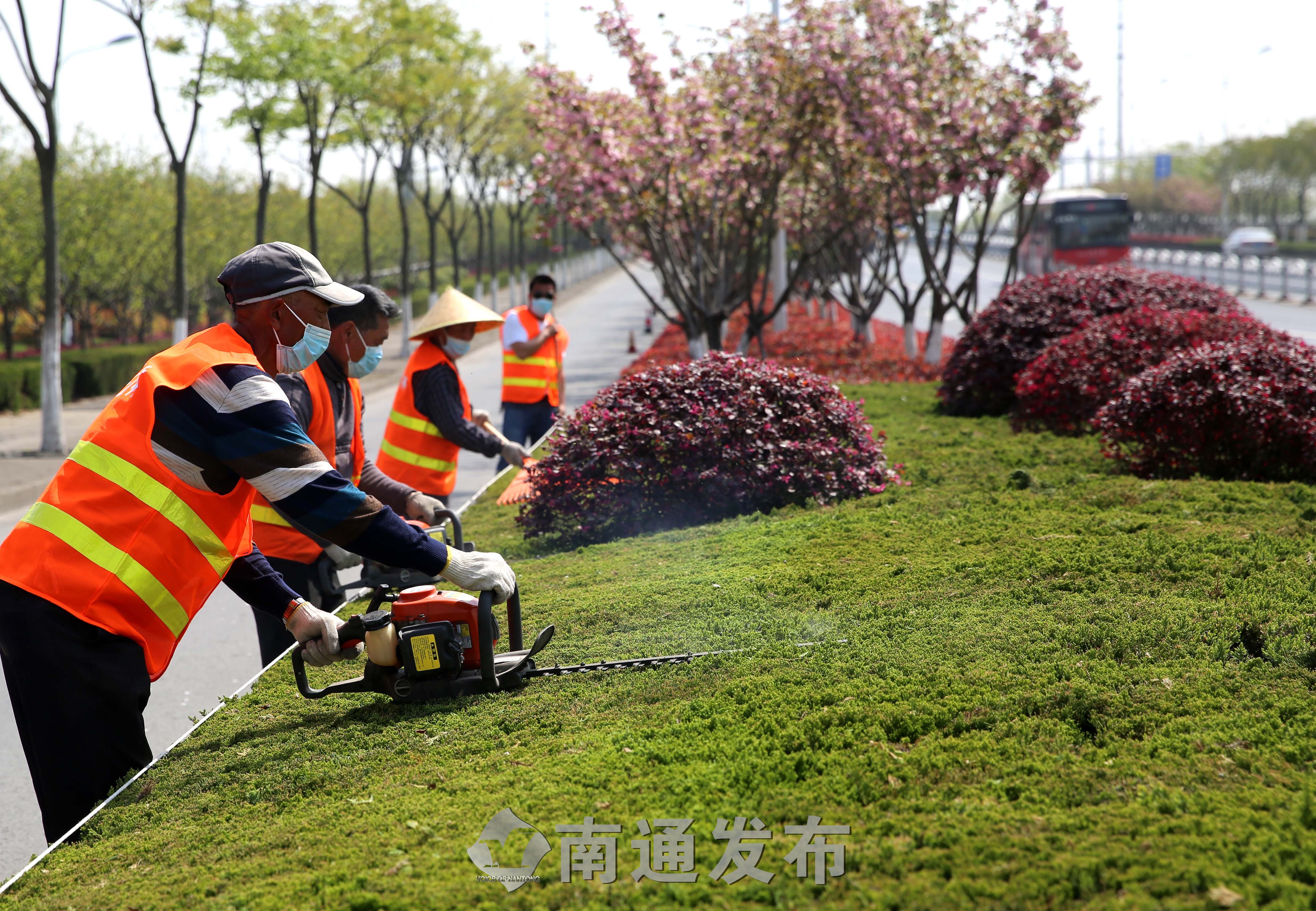 明起正式施行!园林绿化养护首次纳入信用评价体系