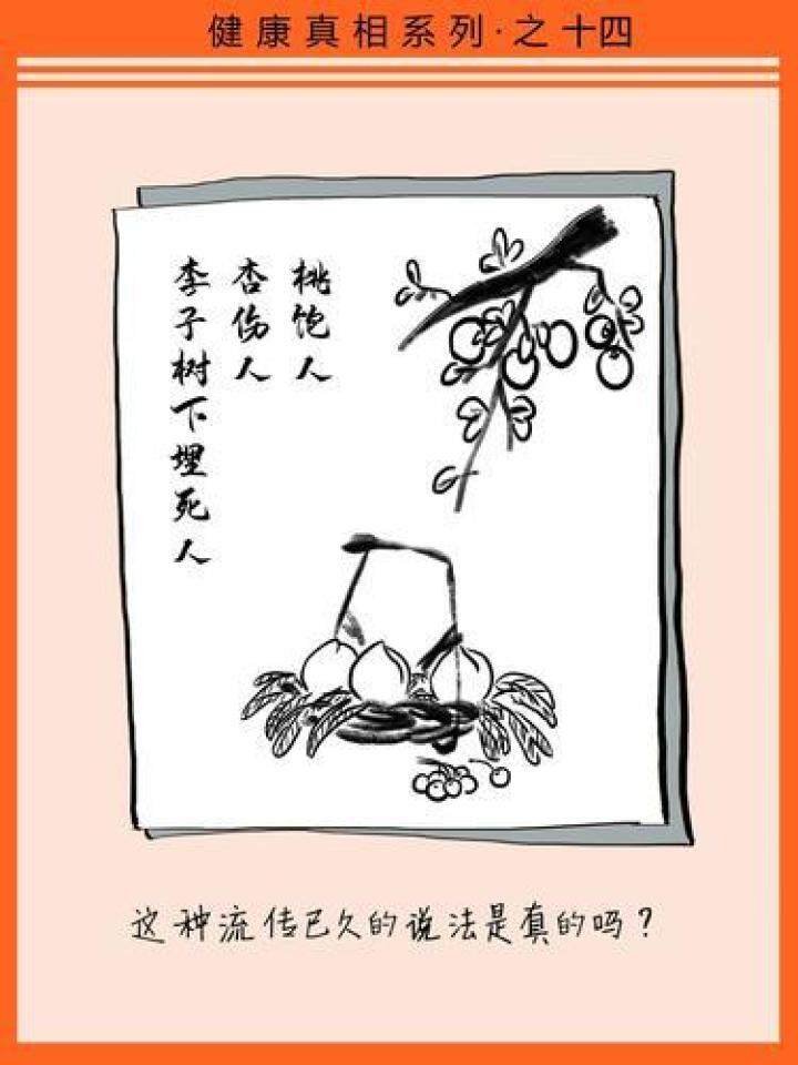 桃饱人杏伤人 李子树下埋死人 疾控专家表示 说法有一定道理 但太夸张啦 桃饱人杏伤人 李子树下埋死人 疾控专家表示 说法有一定道理 但太夸张啦