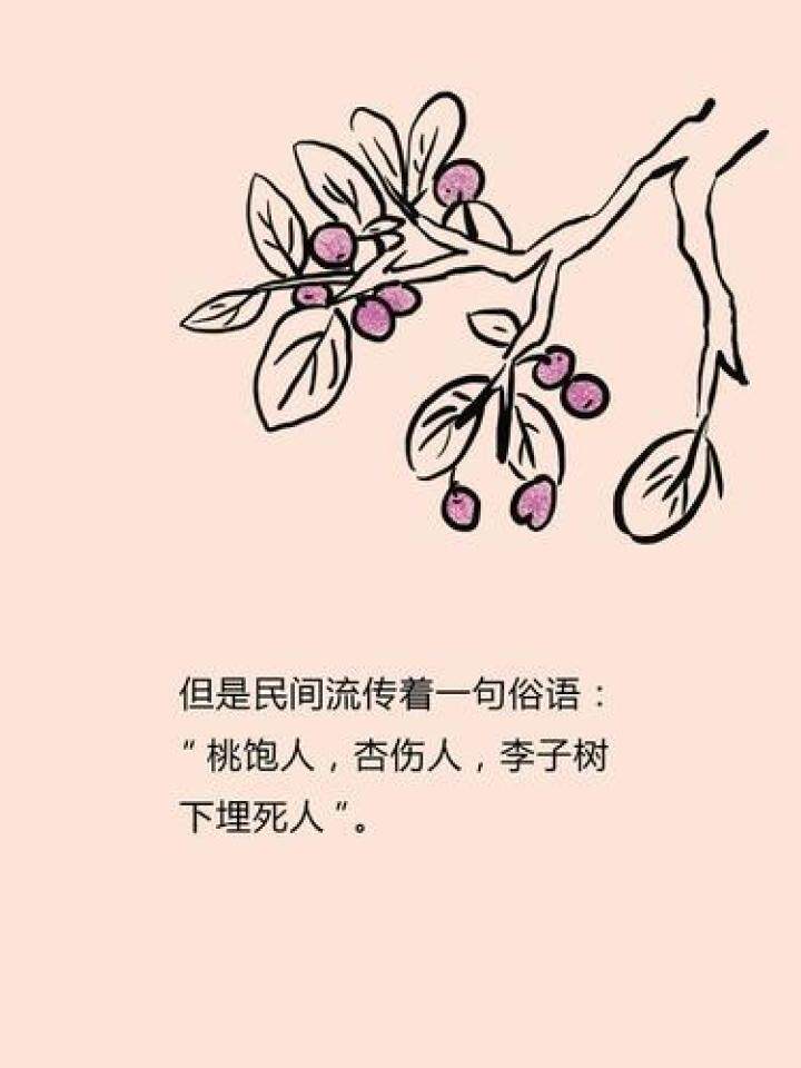 桃饱人杏伤人 李子树下埋死人 疾控专家表示 说法有一定道理 但太夸张啦