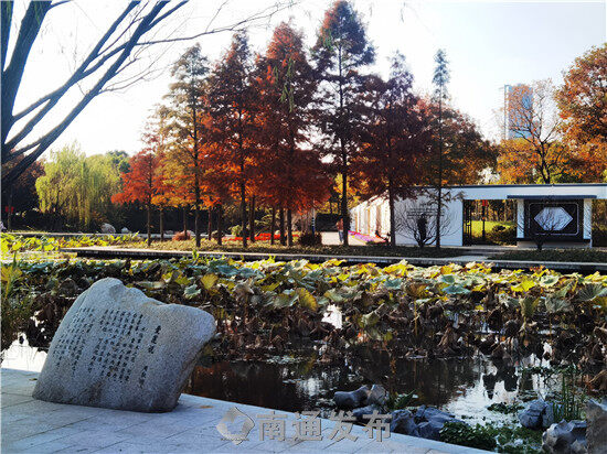 厚植文化底蕴,小游园文化精品成主城区"绿地明珠"|南通发布