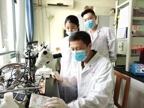 期盼国人早日摆脱慢性疼痛的折磨,通大博士潜心寻找人体疼痛的"开关"