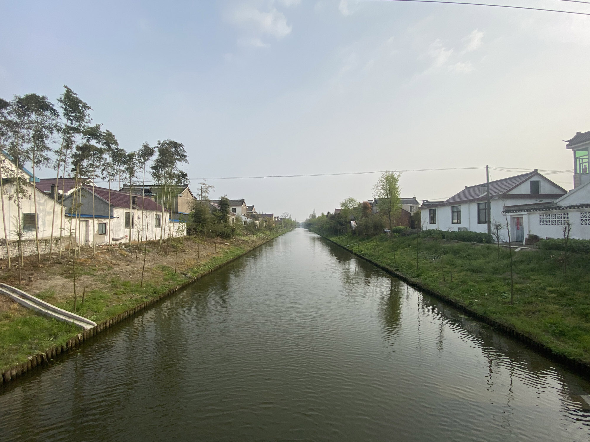 修复水生态提升岸景观看焦港河水环境何以三年大变样南通发布