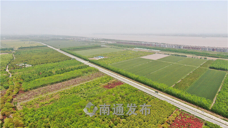 第十届花博会下月在崇明举行 启隆镇积极承接溢出效应|南通发布
