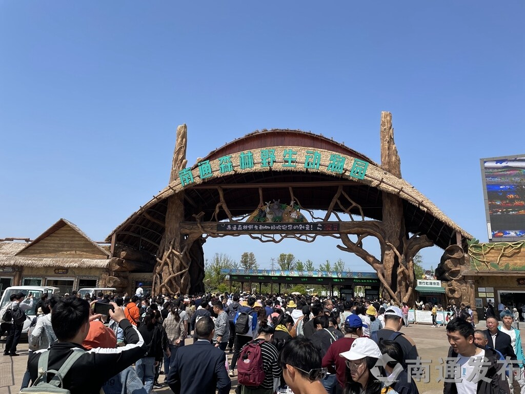 人人人人! 南通森林野生动物园人气持续升温|南通发布