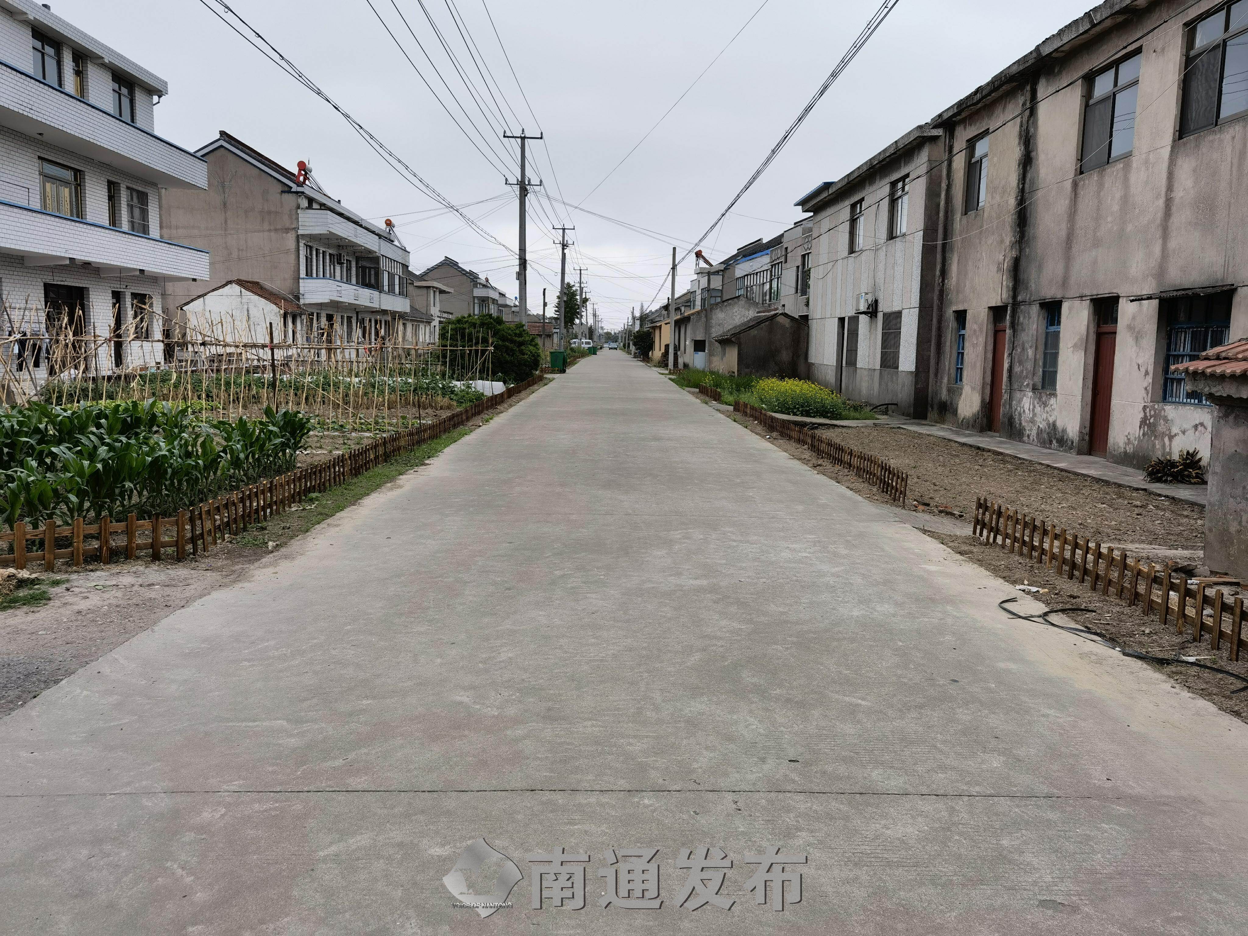 学党史,办实事丨海门临江新区美化道路,改善乡村环境|南通发布