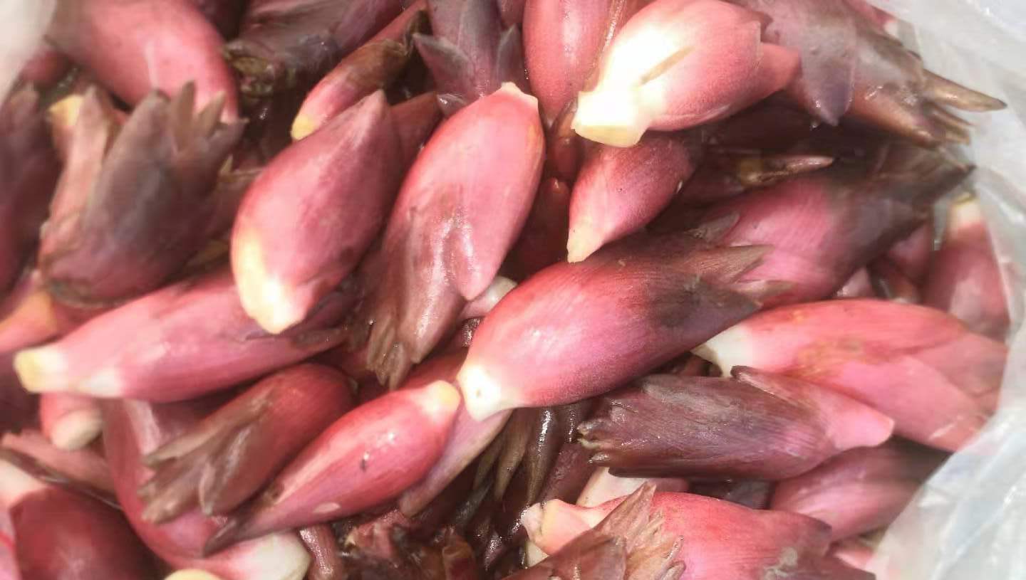 南通农产品再添 国字号 如东蘘荷 被授予国家农产品地理标志 南通农产品再添 国字号 如东蘘荷 被授予国家农产品地理标志