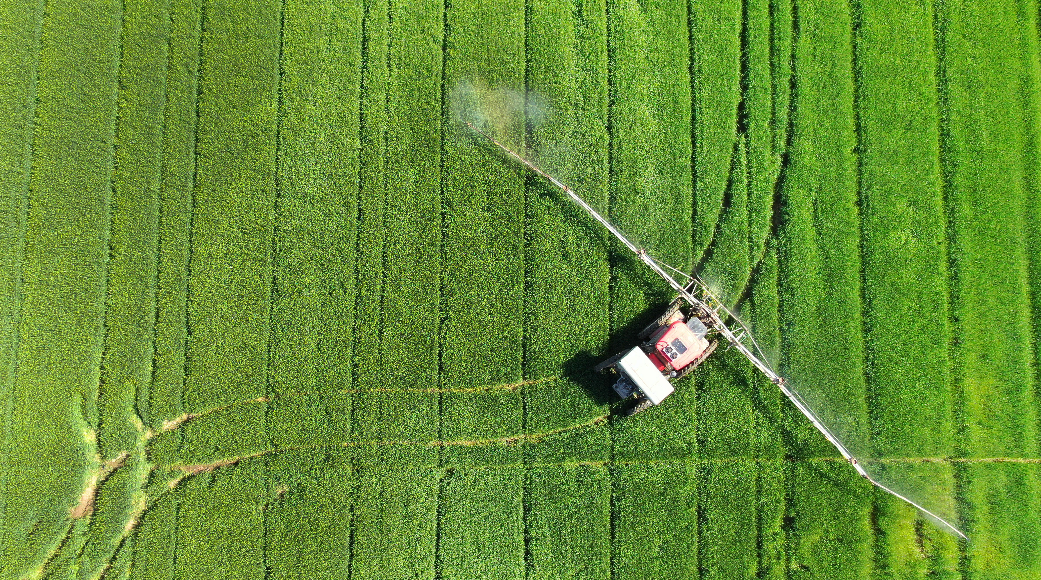 七龙起舞 两凤齐飞 | 产业联盟新格局 助推现代农业高质量发展|南通