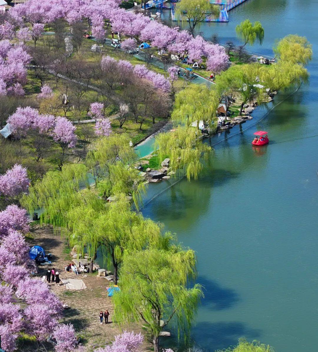 DJI_20250320187_D(14190777)-20250324110506.jpg