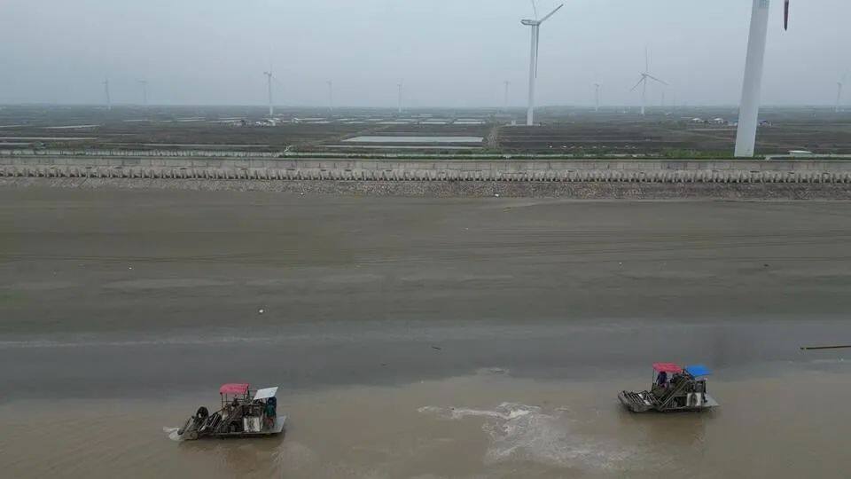 春潮涌动美味浓_启东黄海滩涂贝类迎来最佳(14494562)-20250427091307.jpg