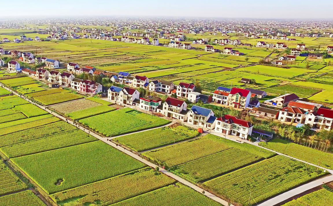 如东袁庄:创新模式提振农业发展 多措护农保障农民利益|南通发布