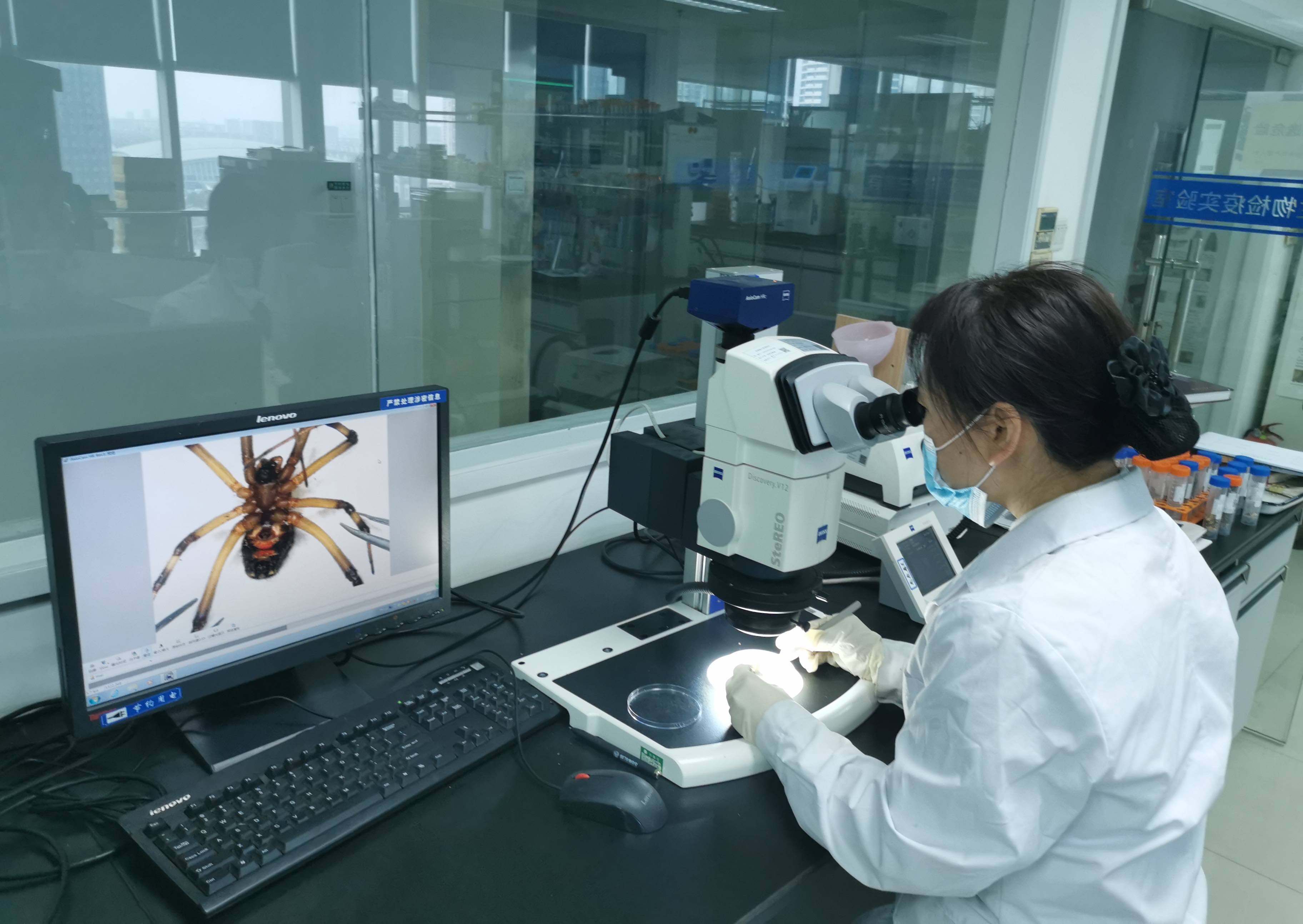 图为南通海关综合技术中心有害生物检疫实验室工作人员正在对送检的