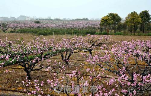 具有沙地文化特色的印象沙地休閒農莊, 位於惠萍鎮大興鎮村19組,是集