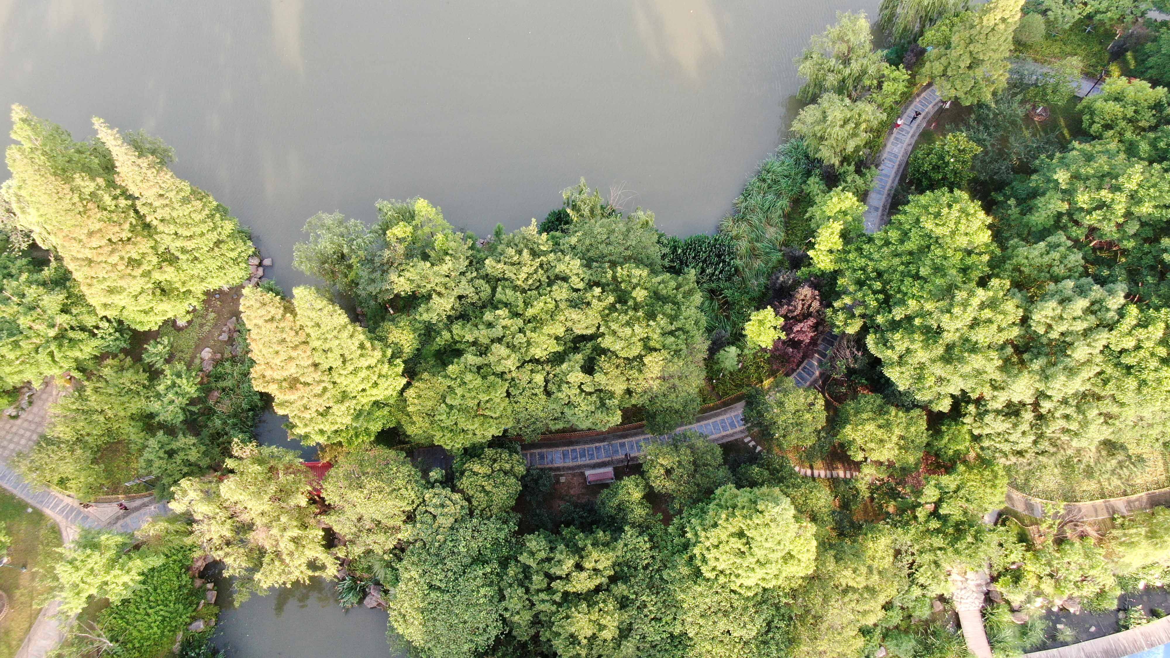 航拍濠河绿意盎然夏日美景|南通发布