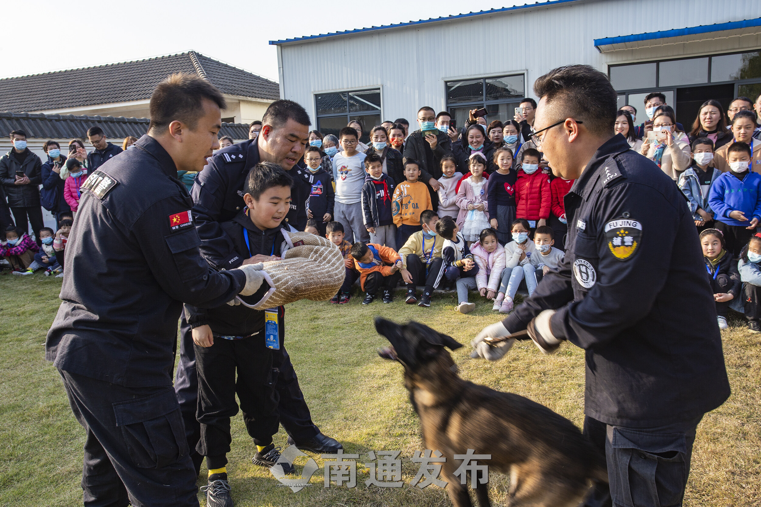 人狗激战警犬训练基地图片