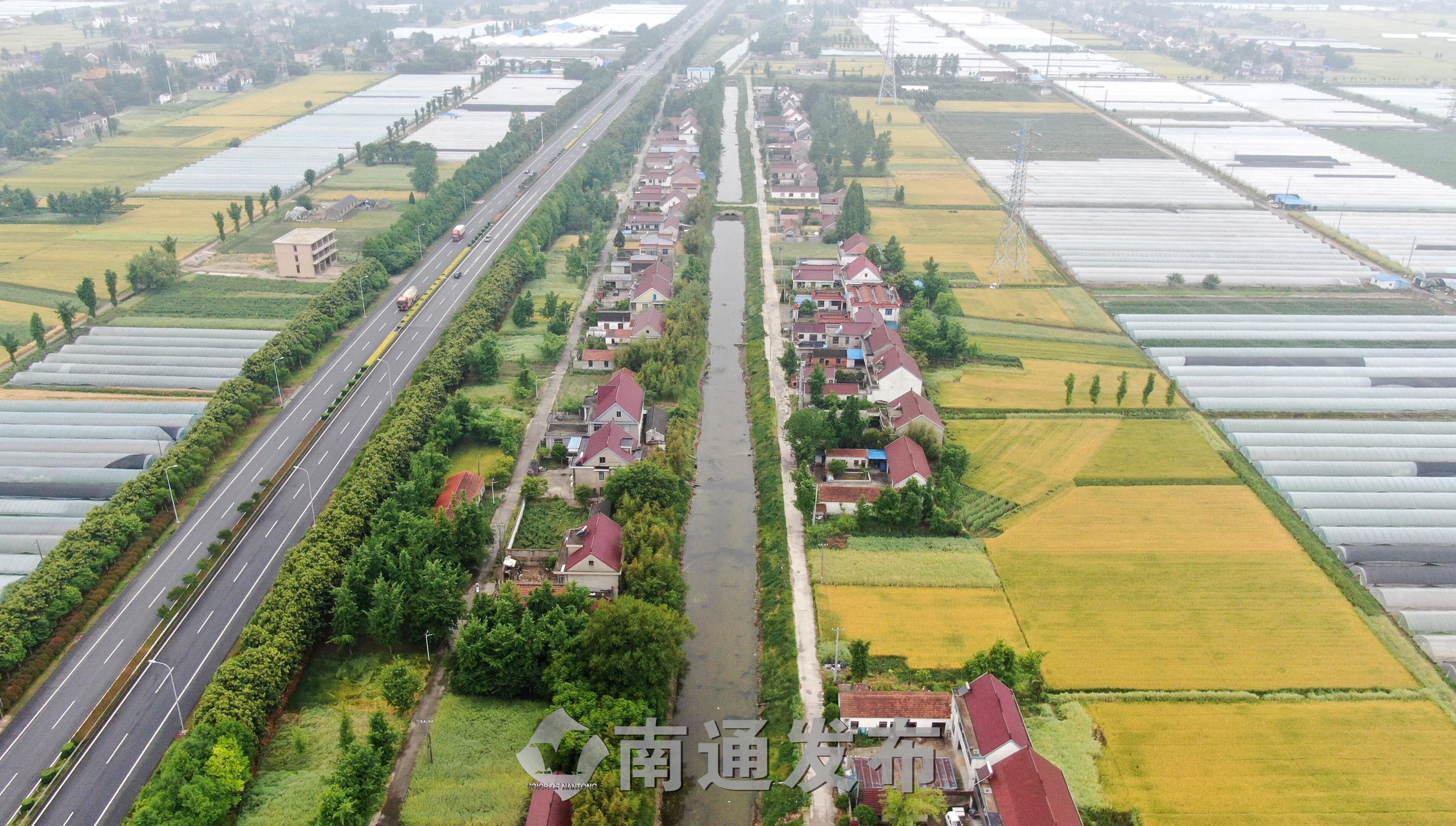 生机盎然的新农村画卷丨航拍如皋市搬经镇加马社区千亩大棚南通发布