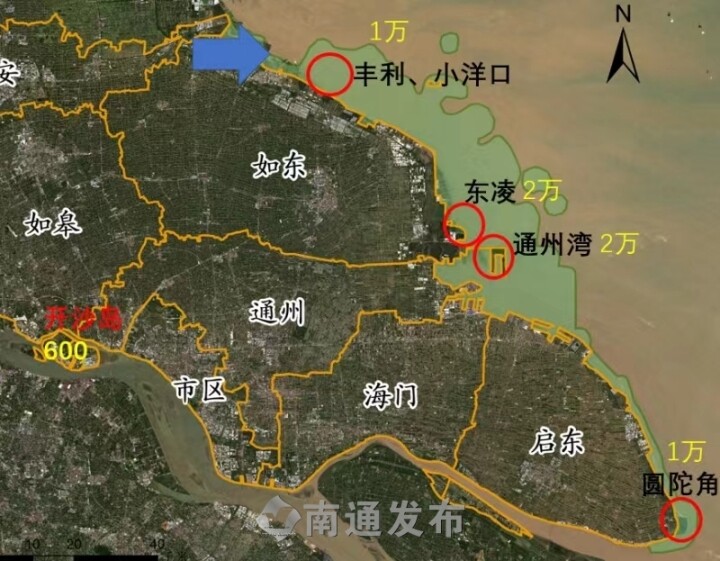 新春走基层江苏南通8的万亩滩涂上他们给留通候鸟办了张身份证